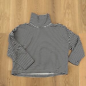 Everlane Turtleneck Sweatshirt in black and white stripes